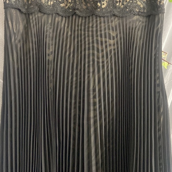 Signature by Robbie Bee Black Zebra Print Accordian Pleated Dress​ - Picture 4 of 11